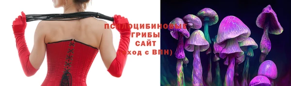 молекула духа Медвежьегорск