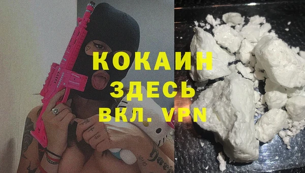 молекула духа Медвежьегорск