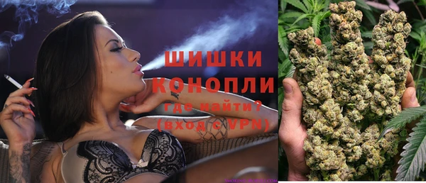 молекула духа Медвежьегорск