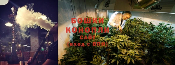 молекула духа Медвежьегорск