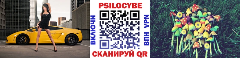 Галлюциногенные грибы Psilocybe  Юрюзань 